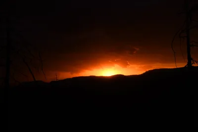 DSC_4564 (Large).JPG